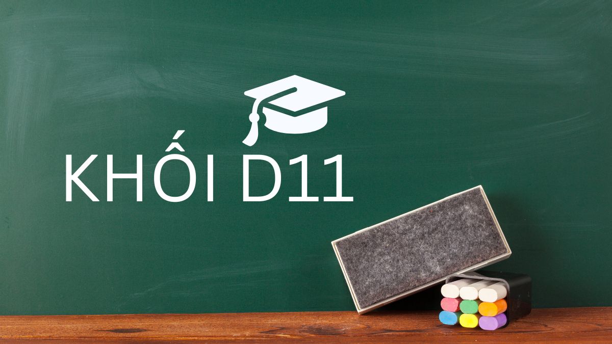Khối D11 gồm những môn nào? Danh sách và thông tin chi tiết